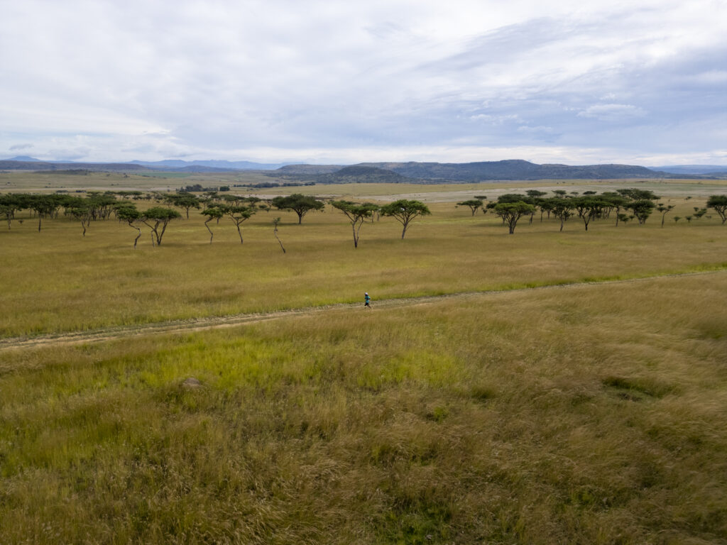 OxpeckerTrailMarathon RaceDay