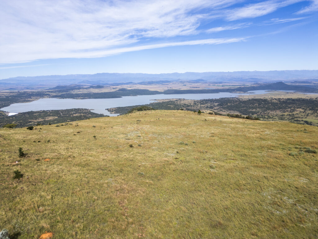 OxpeckerTrailMarathon RaceDay 3