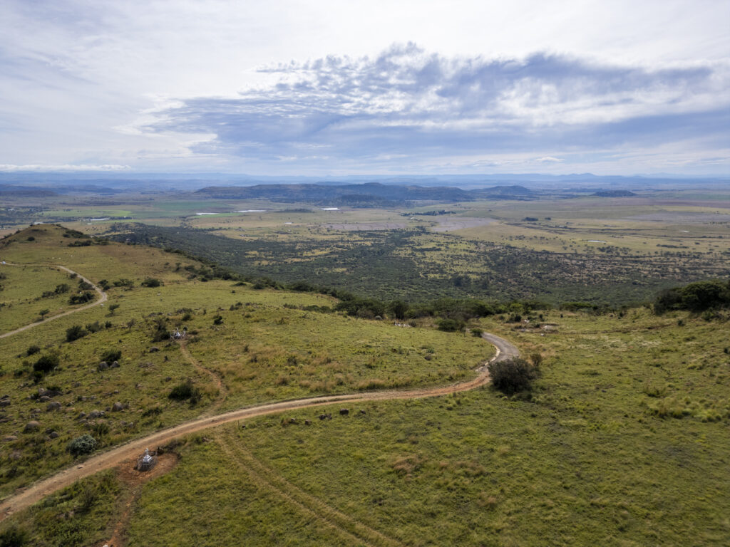 OxpeckerTrailMarathon RaceDay 5