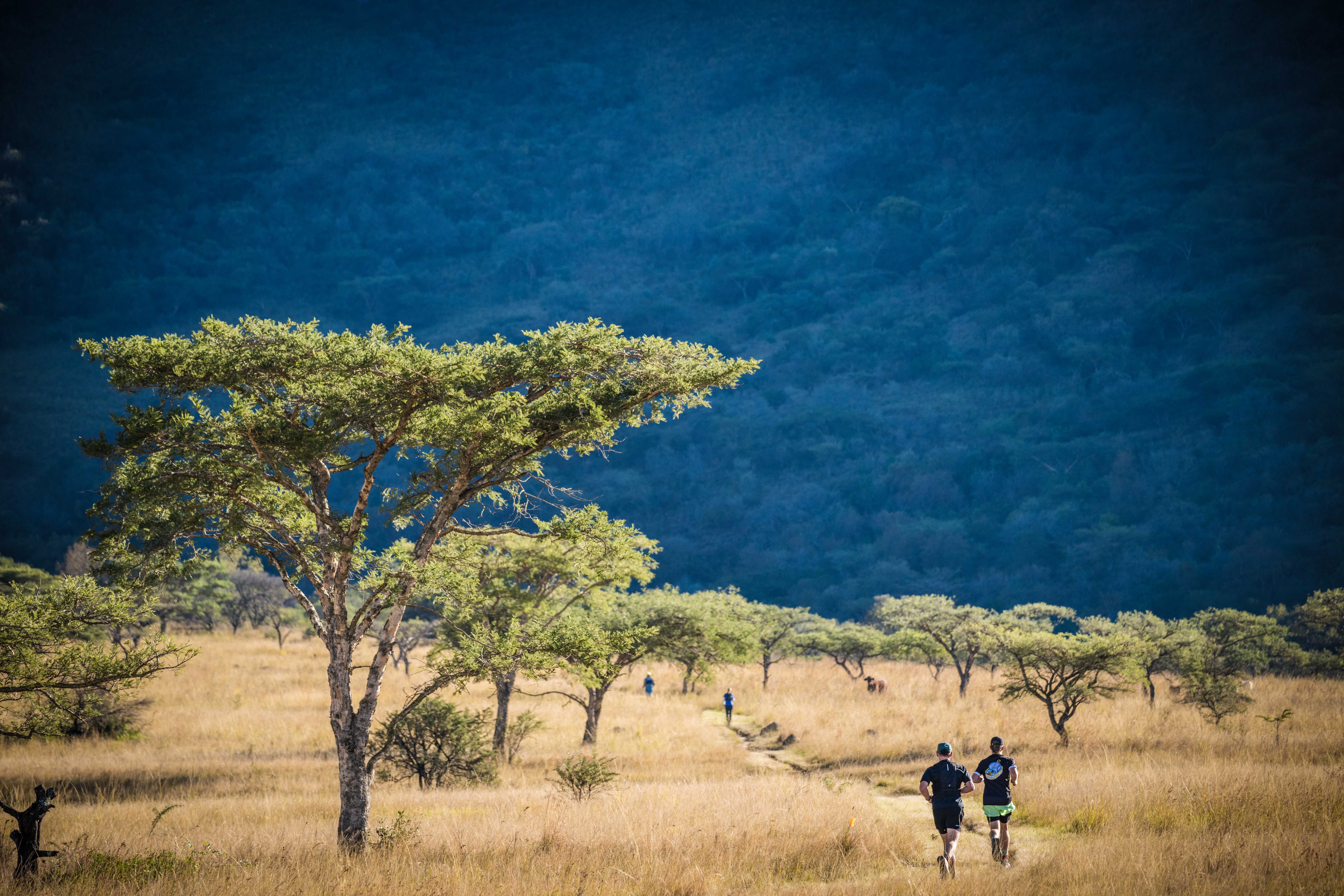 Torchbearers International South Africa 3