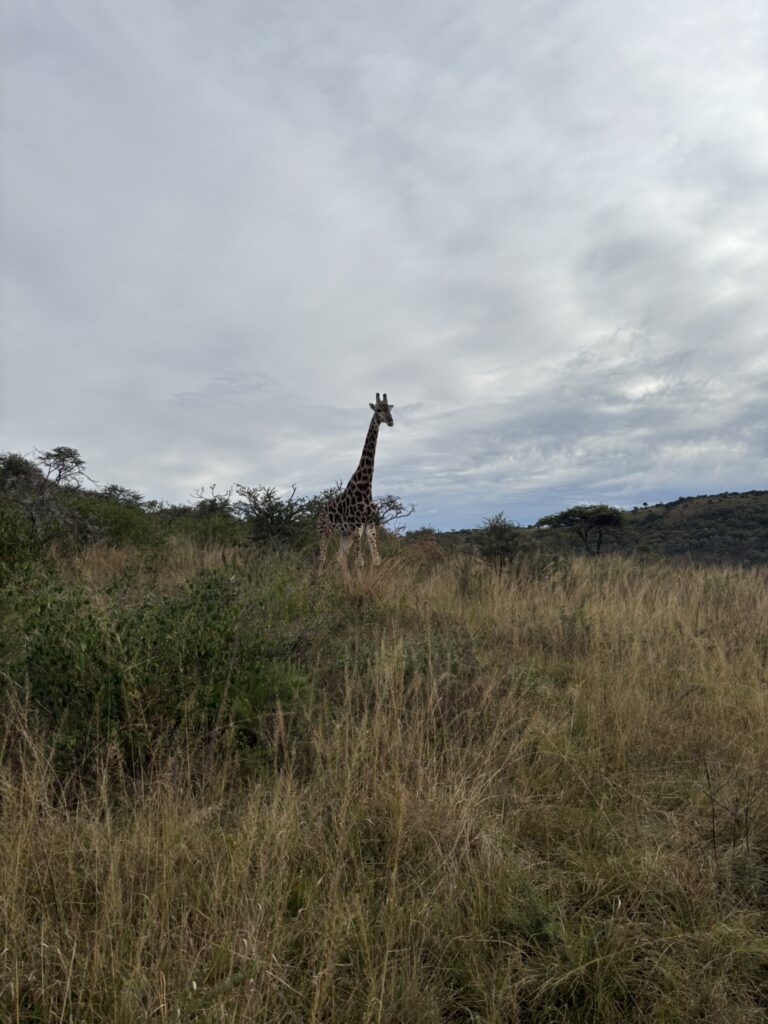 Torchbearers International South Africa